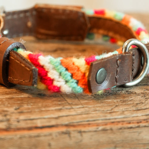 Salento -   XS Dog Collar