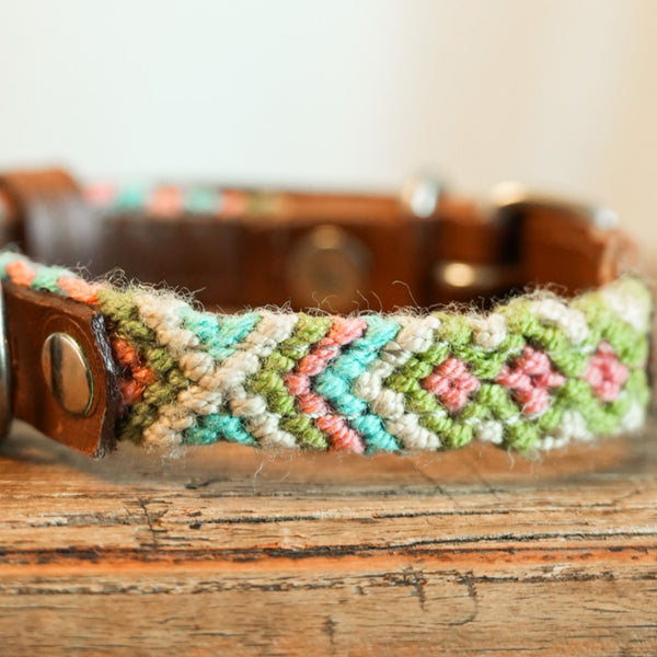 Salento -   XS Dog Collar