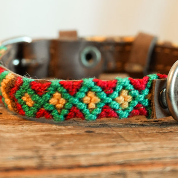 Salento -   XS Dog Collar