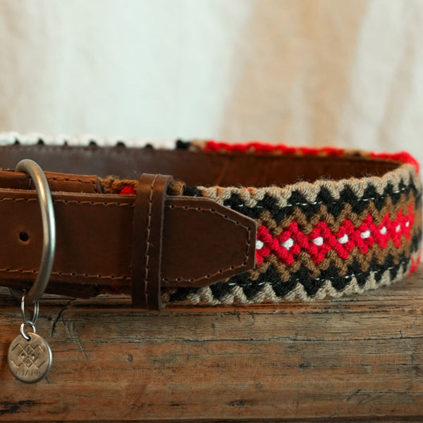 Santa Rosa - M Dog Collar