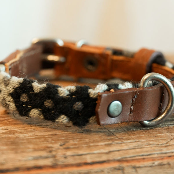 Salento -   XS Dog Collar