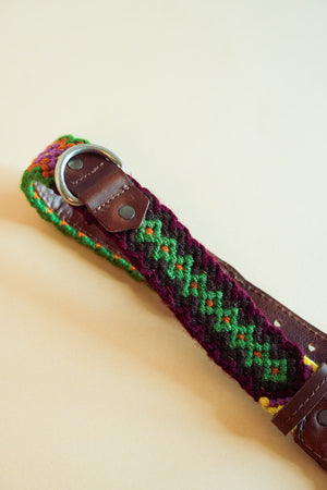 Santa Rosa - M Dog Collar