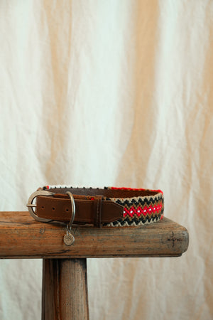 Santa Rosa - M Dog Collar