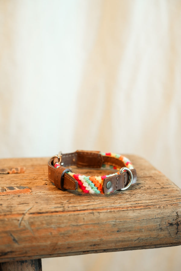 Salento -   XS Dog Collar