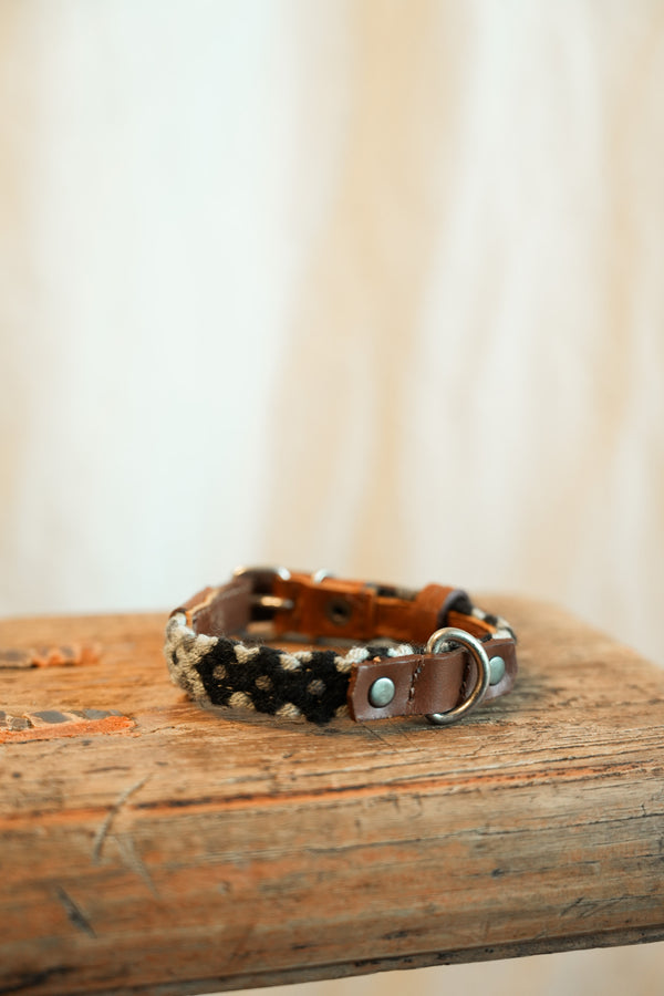 Salento -   XS Dog Collar