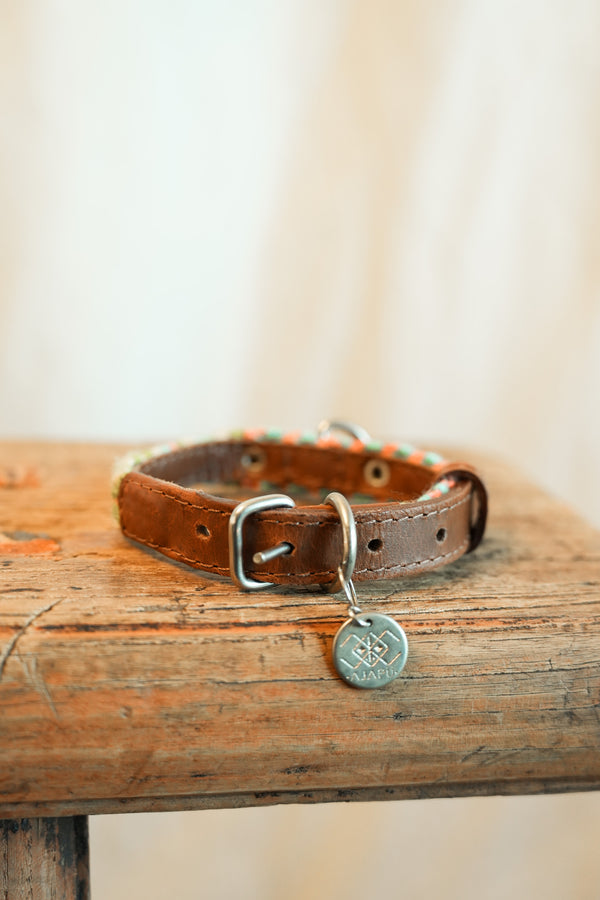 Salento -   XS Dog Collar