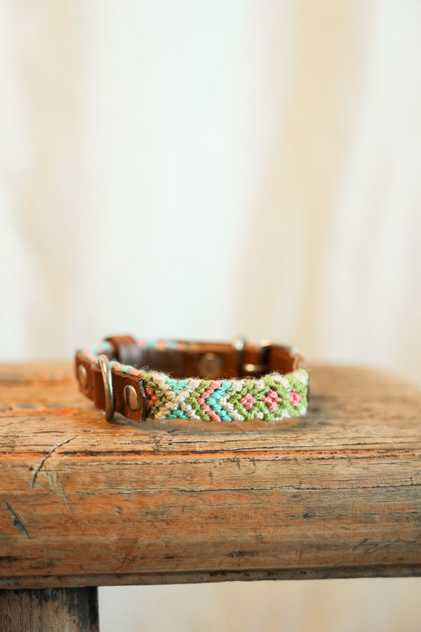 Salento -   XS Dog Collar
