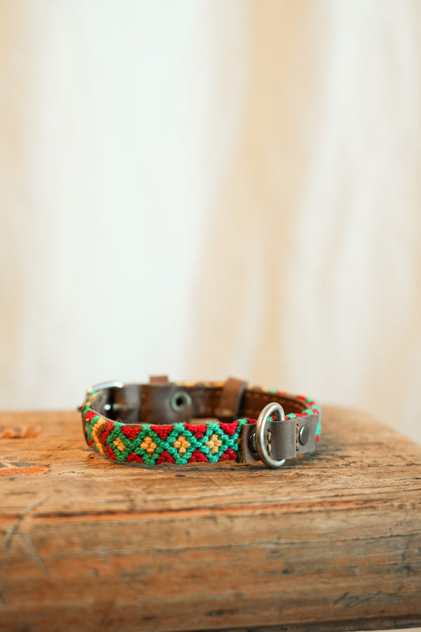 Salento -   XS Dog Collar